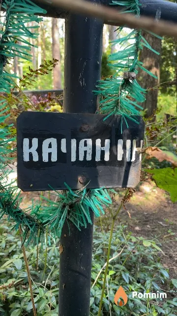Качан И Н