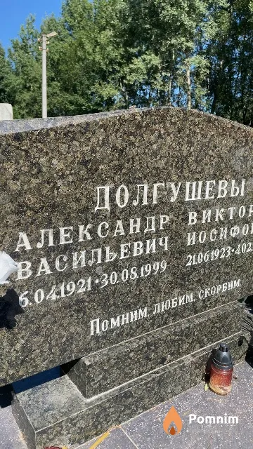 Долгушев Александр Васильевич