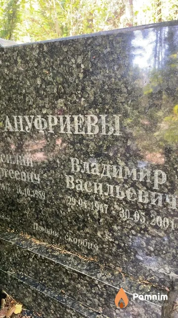 Ануфриев Владимир Васильевич
