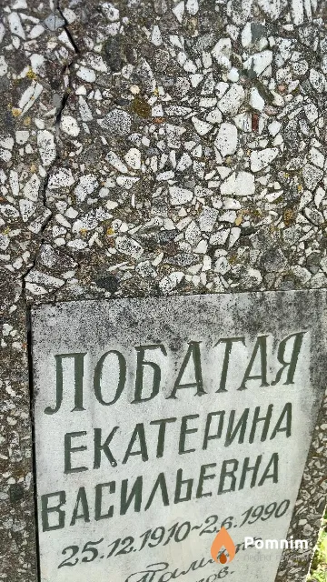 Лобатая Екатерина Васильевна
