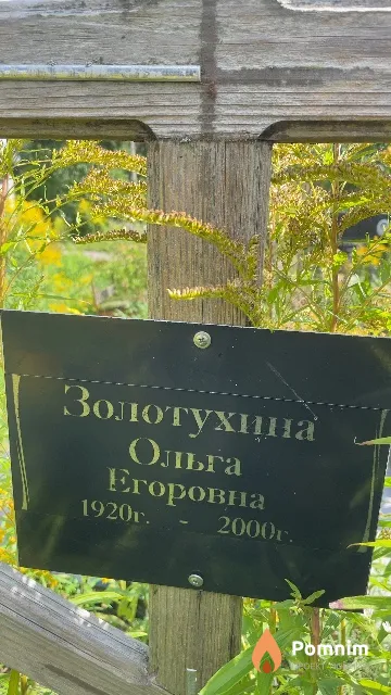 Золотухина Ольга Егоровна
