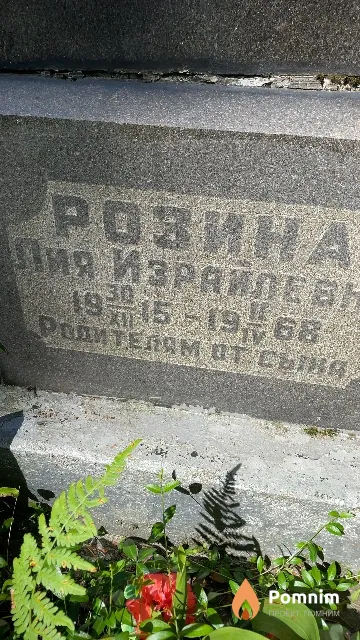 Розина Лия Израйлевна