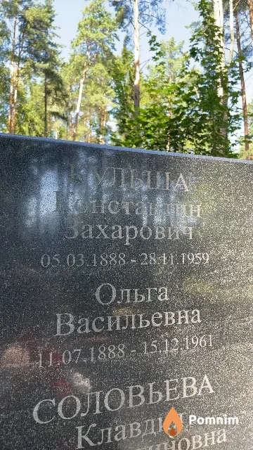Кульша Ольга Васильевна