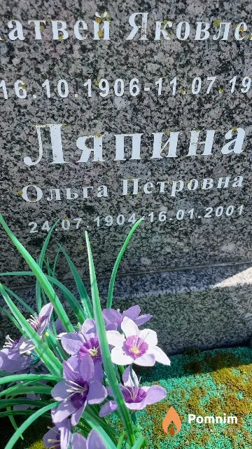 Ляпина Ольга Петровна