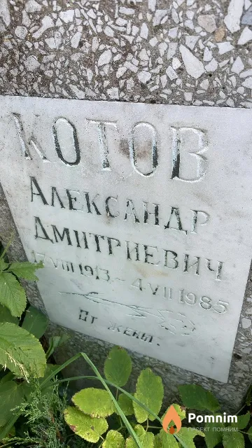 Котов Александр Дмитриевич