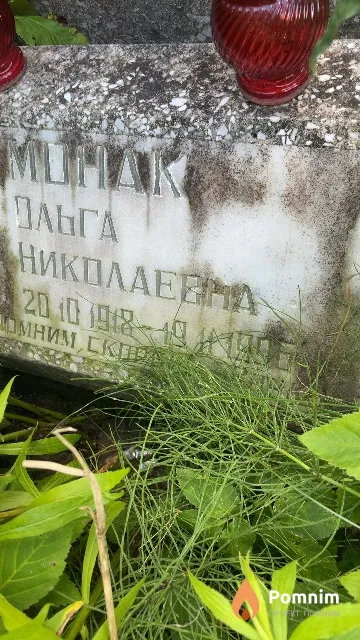 Монак Ольга Николаевна