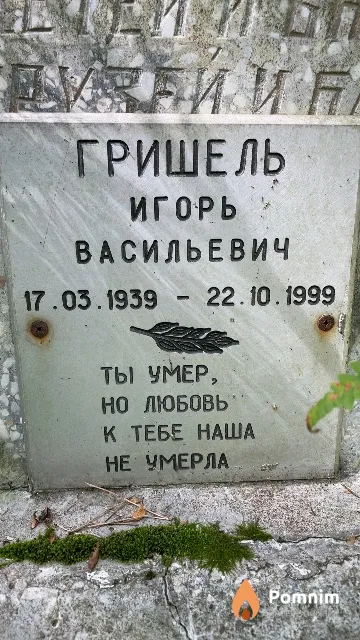 Гришель Игорь Васильевич