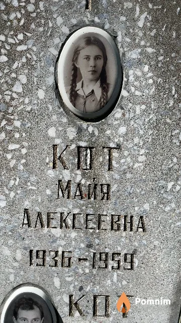 Кот Майя Алексеевна