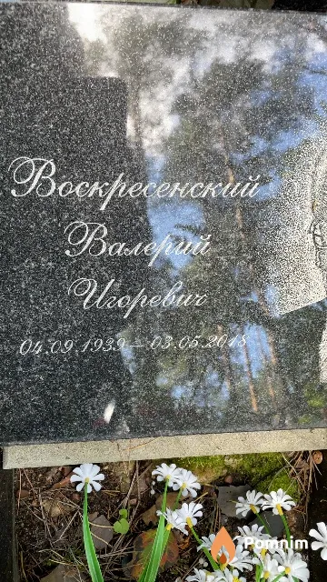 Воскресенский Валерий Игоревич