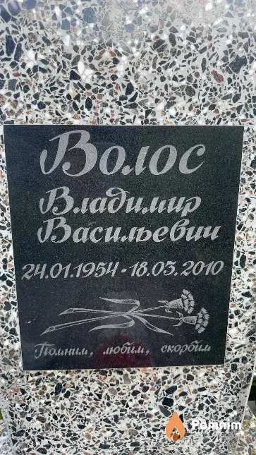 Волос Владимир Васильевич