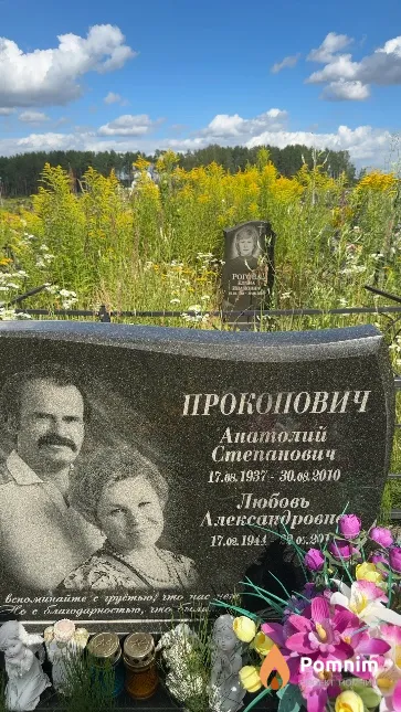 Прокопович Анатолий Степанович