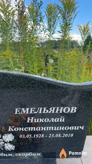 Емельянов Николай Константинович