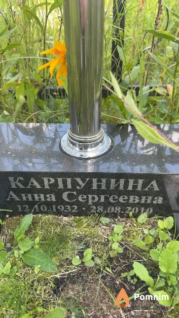 Карпунина Анна Сергеевна