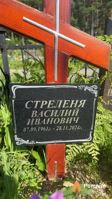 Стреленя Василий Иванович