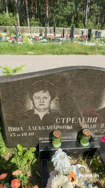 Стреленя Нина Александровна