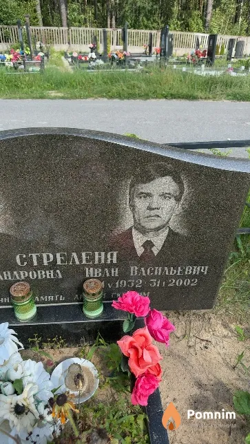 Стреленя Иван Васильевич