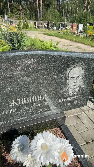 Живиц Аскольд Александрович