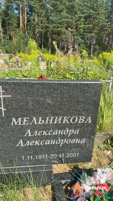 Мельникова Александра Александровна