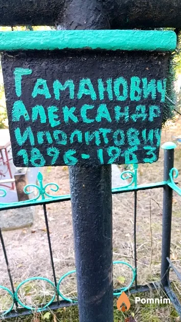 Гаманович Александр Иполитович