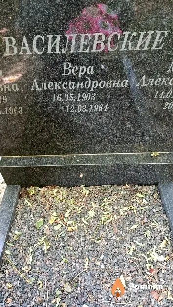 Василевская Bepa Александровна