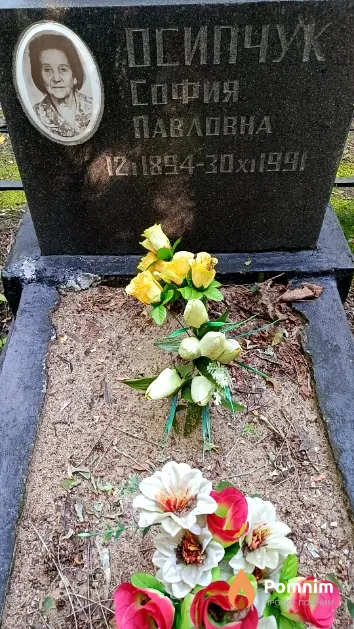 Осипчук София Павловна