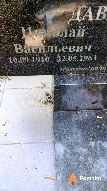 Давидович Николай Васильевич