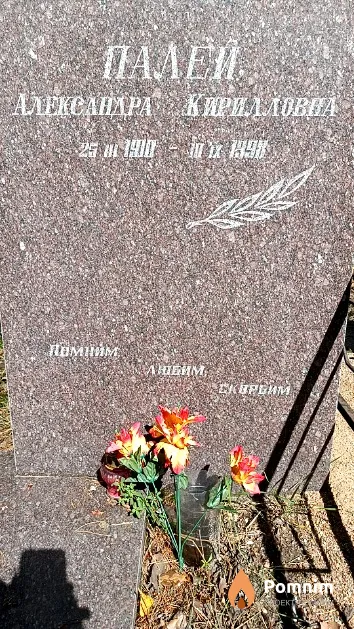 Палей Александра Кирилловна
