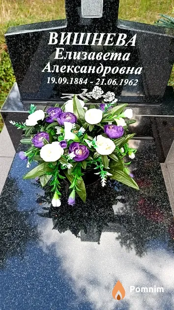 Вишнева Елизавета Александровна