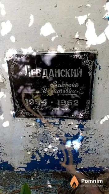 Левданский Валерий Иосифович