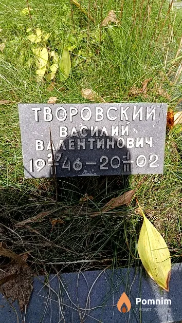 Творовский Василий Валентинович