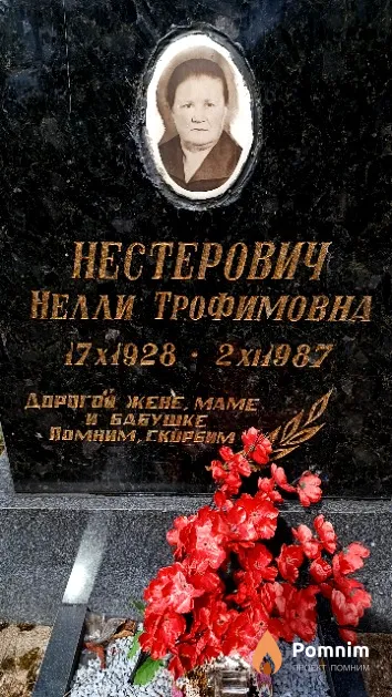Нестерович Нелли Трофимовна