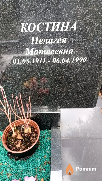Костина Пелагея Матвеевна