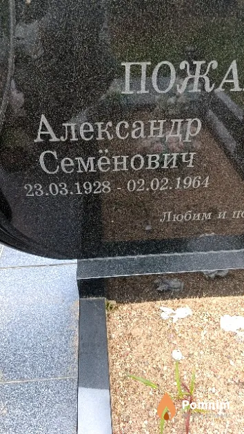 Пожарицкий Александр Семёнович