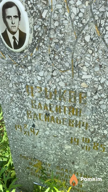 Языков Валентин Васильевич