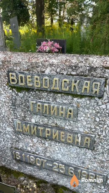Воеводская Галина Дмитриевна