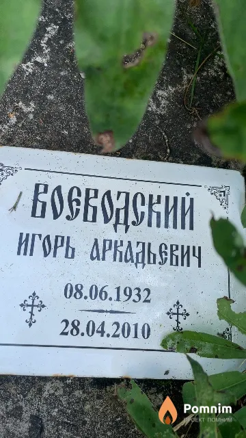 Воеводский Игорь Аркадьевич
