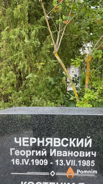 Чернявский Георгий Иванович