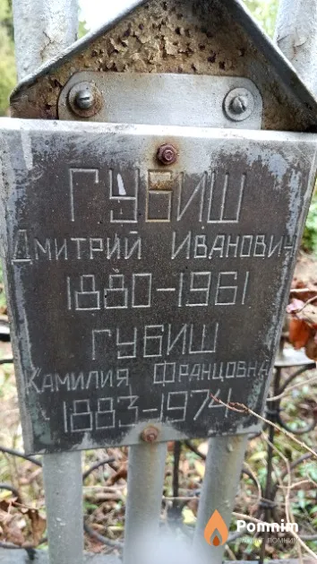 Губиш Камилия Францовна