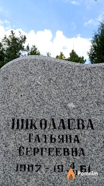Николаева Татьяна Сергеевна