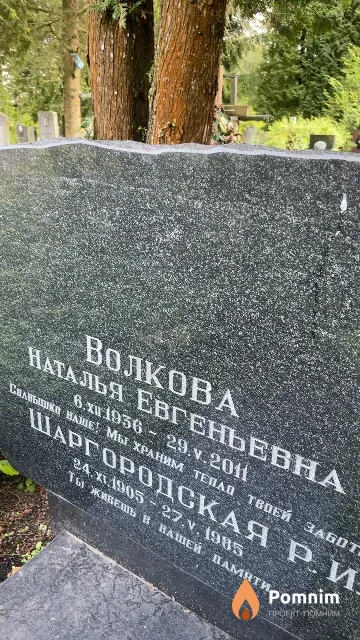 Волкова Наталья Евгеньевна