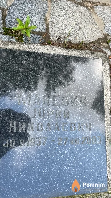 Малевич Юрий Николаевич