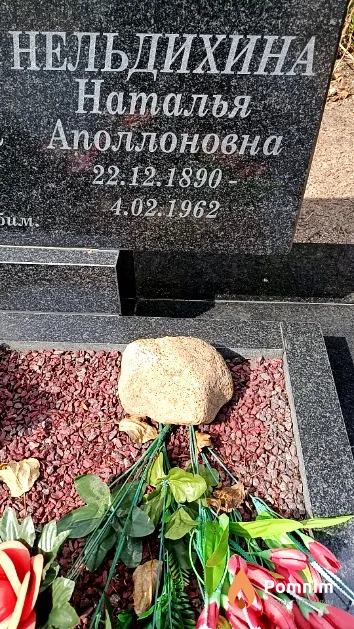 Нельдихина Наталья Аполлоновна
