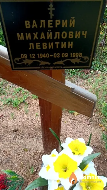 Левитин Валерий Михайлович