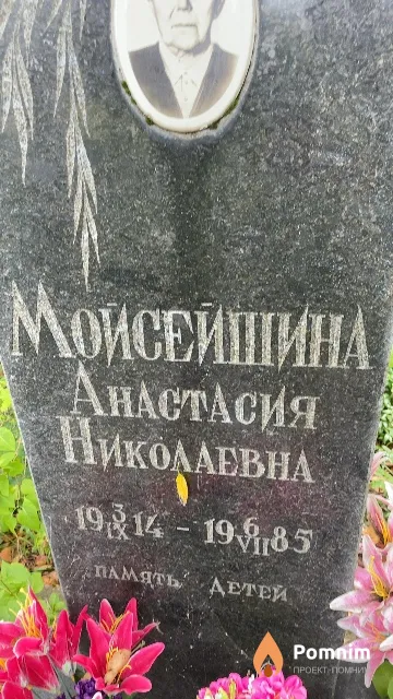 Мойсейшина Анастасия Николаевна