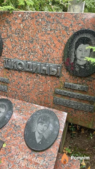 Шкодина Елена Фёдоровна
