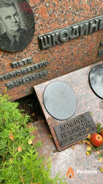 Шкодин Петр Тимофеевич