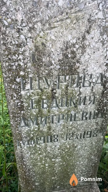 Щурова Евдокия Дмитриевна