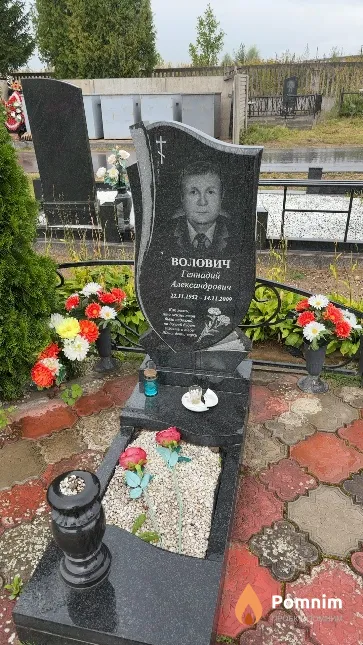 Волович Геннадий Александрович