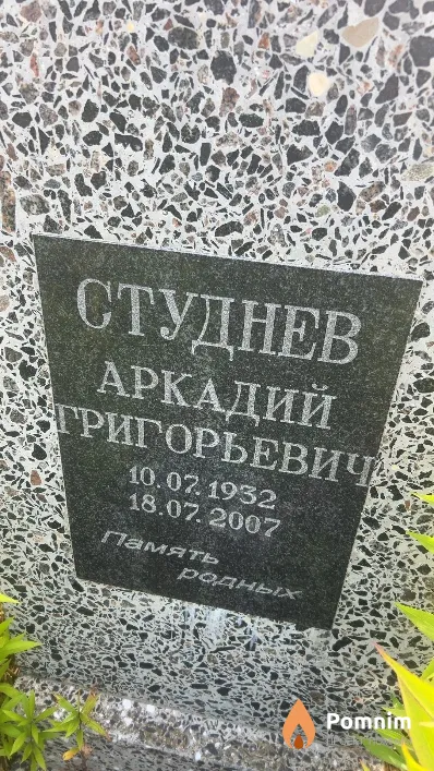 Студнев Аркадий Григорьевич