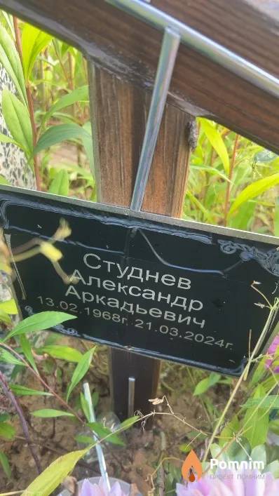 Студнев Александр Аркадьевич